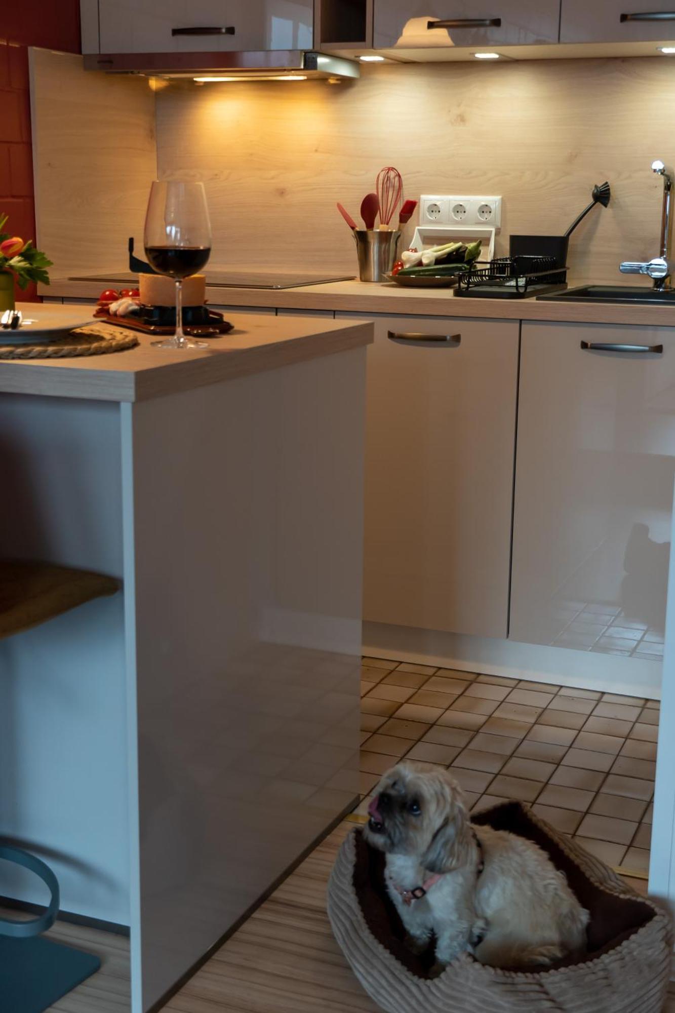 Fewo Harzer Weitblick, Hunde Willkommen, W-Lan, 2X Smart Tv, Dtv 4 Sterne, 4 Pfoten برونلاغ المظهر الخارجي الصورة