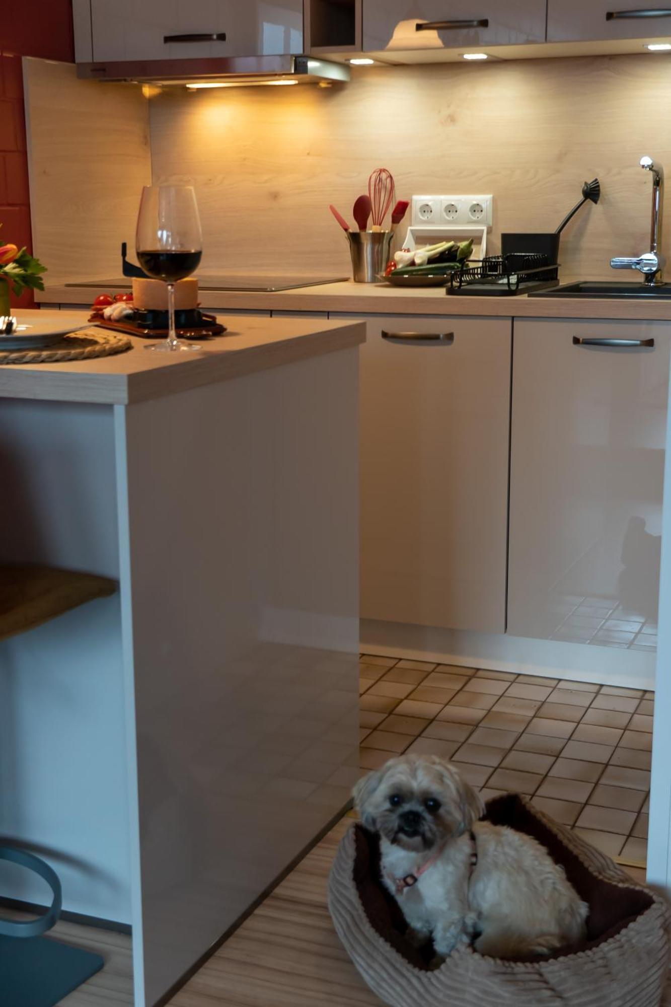 Fewo Harzer Weitblick, Hunde Willkommen, W-Lan, 2X Smart Tv, Dtv 4 Sterne, 4 Pfoten برونلاغ المظهر الخارجي الصورة